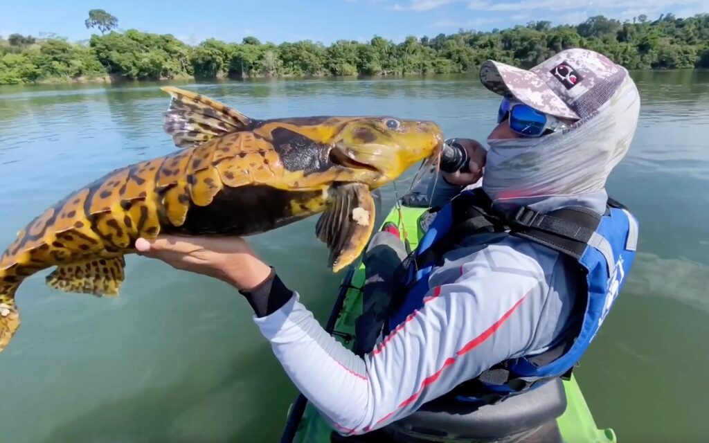 Rekreasi Seru di Peru Memancing di Sungai Amazon